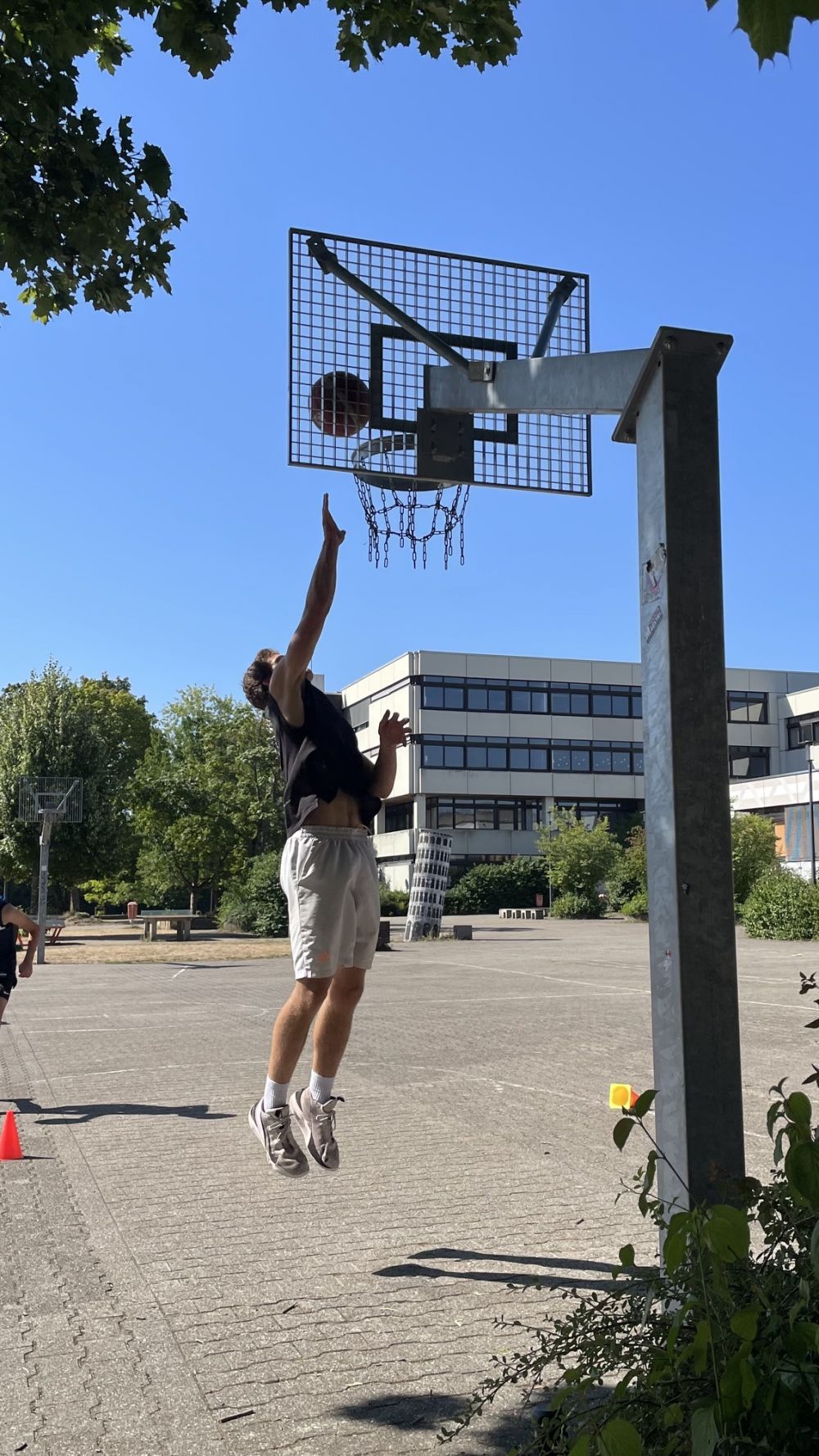 Ball im Korb