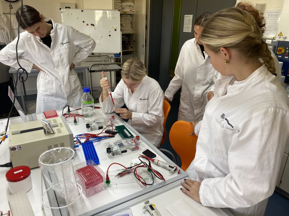 Eigenständiges Experimentieren
