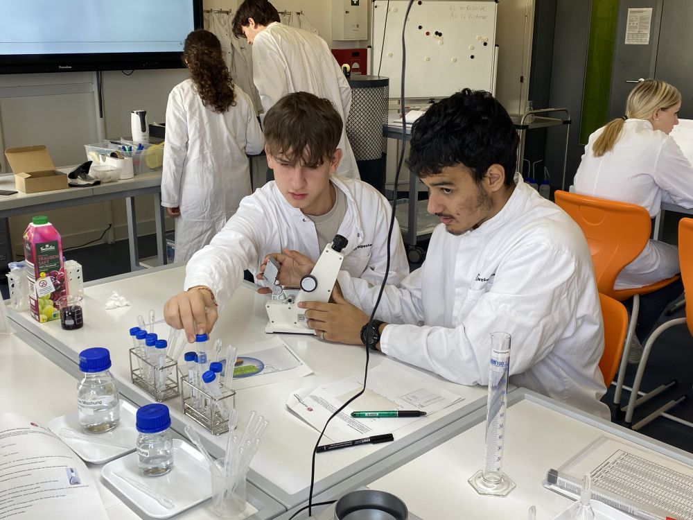 Experimenta