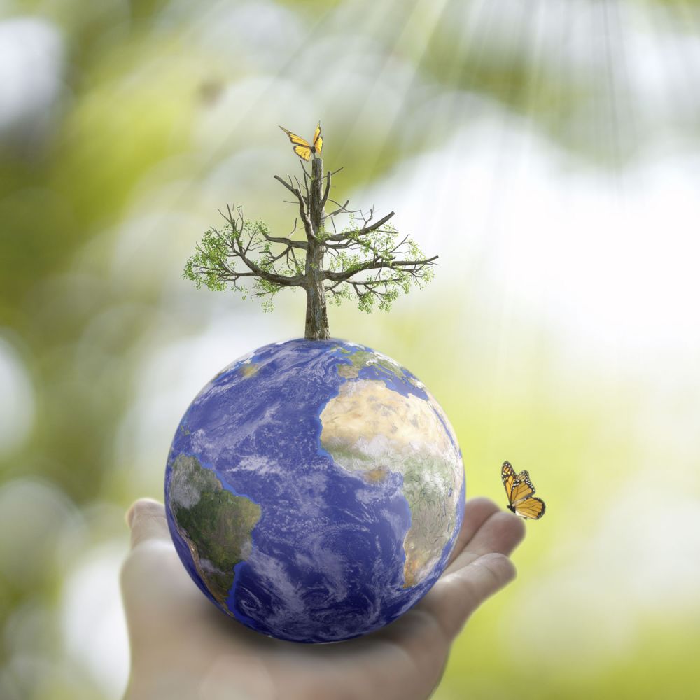 Weltkugel in einer Hand. Aus der Kugel wächst ein Baum